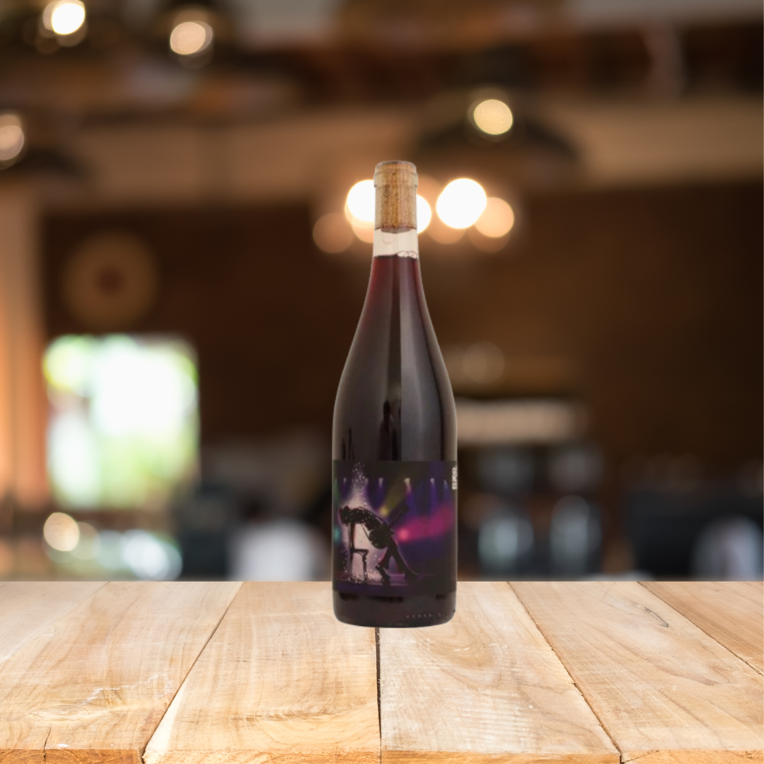 Gonc Pour Some Sugar on Me 2020 Gamay Red Wine 750ml